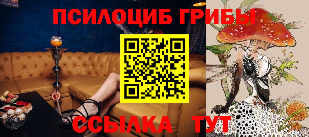 Галлюциногенные грибы ЛСД Вольск